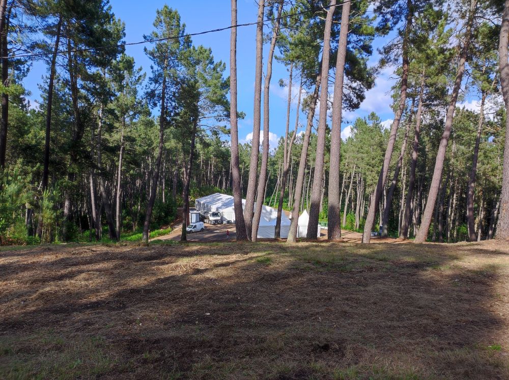 Noticia de ASTURFORESTA 2023