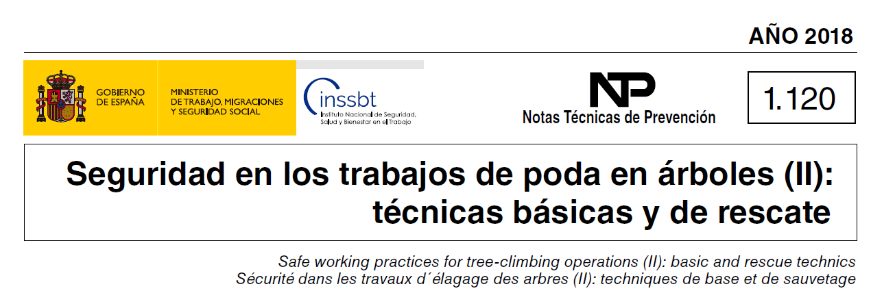 Nota Técnica de Prevención 1119: Seguridad en los trabajos de poda en árboles (II)